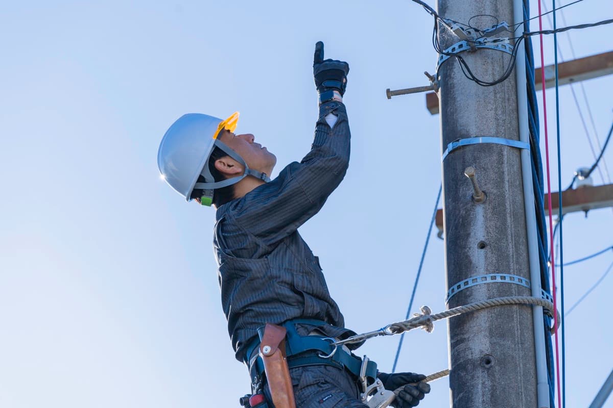 無停電検査